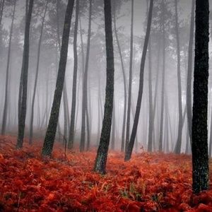 Meet your Posher, Gemma